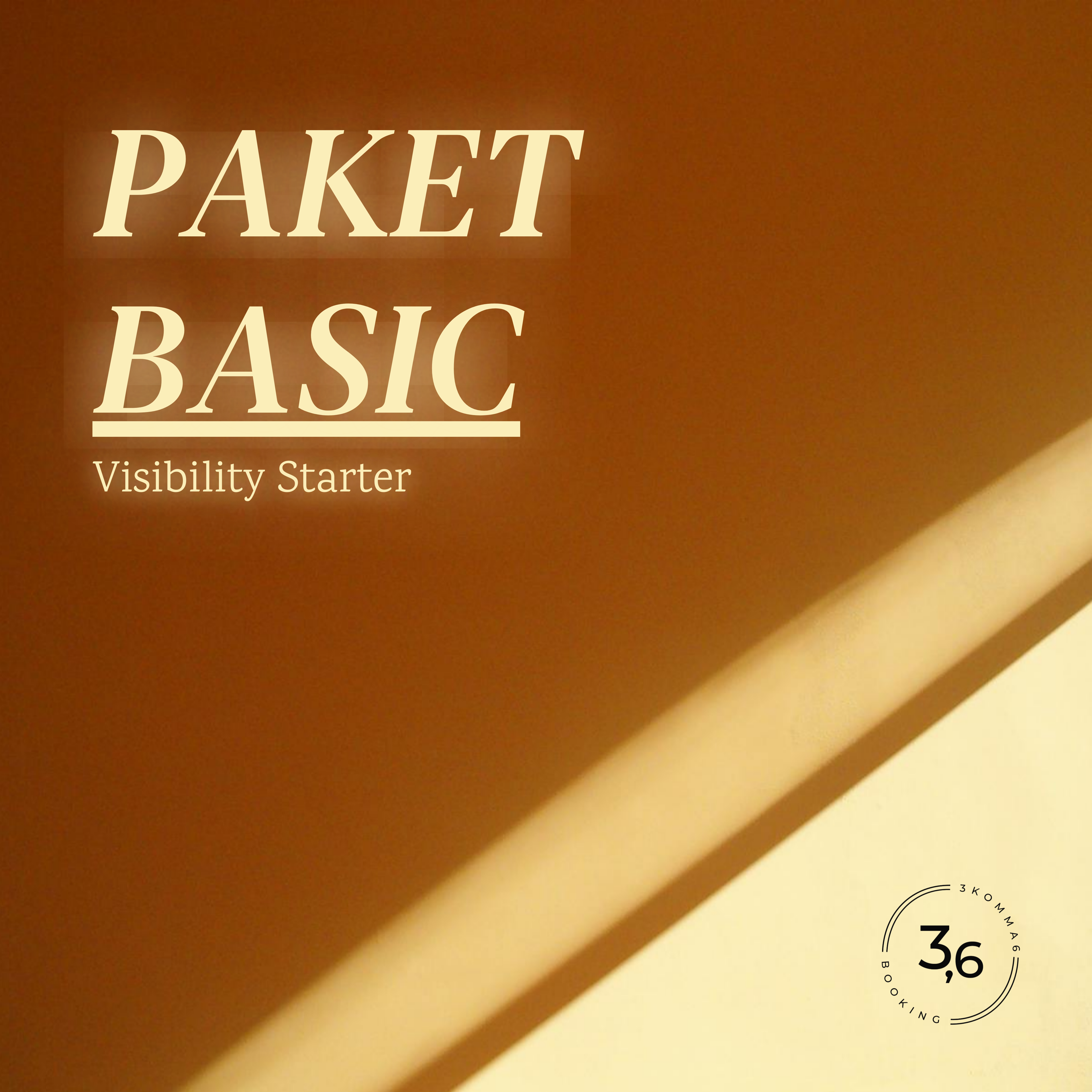 PAKET BASIC – Visibility Starter
